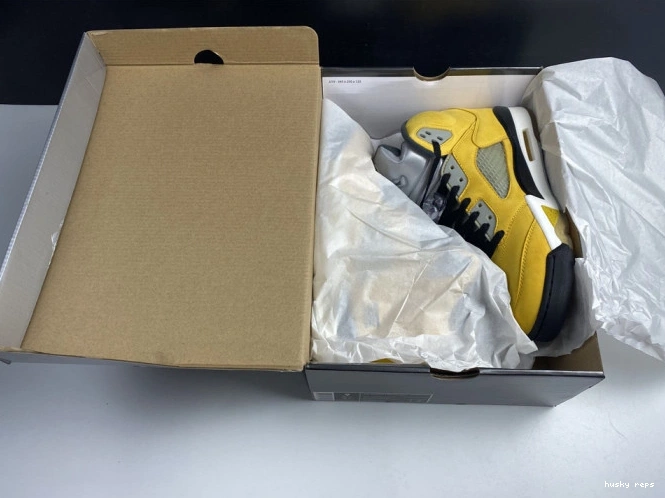 Cheap Husky 5 T23 Jordan Tokyo Air Retro 454783-701 0630